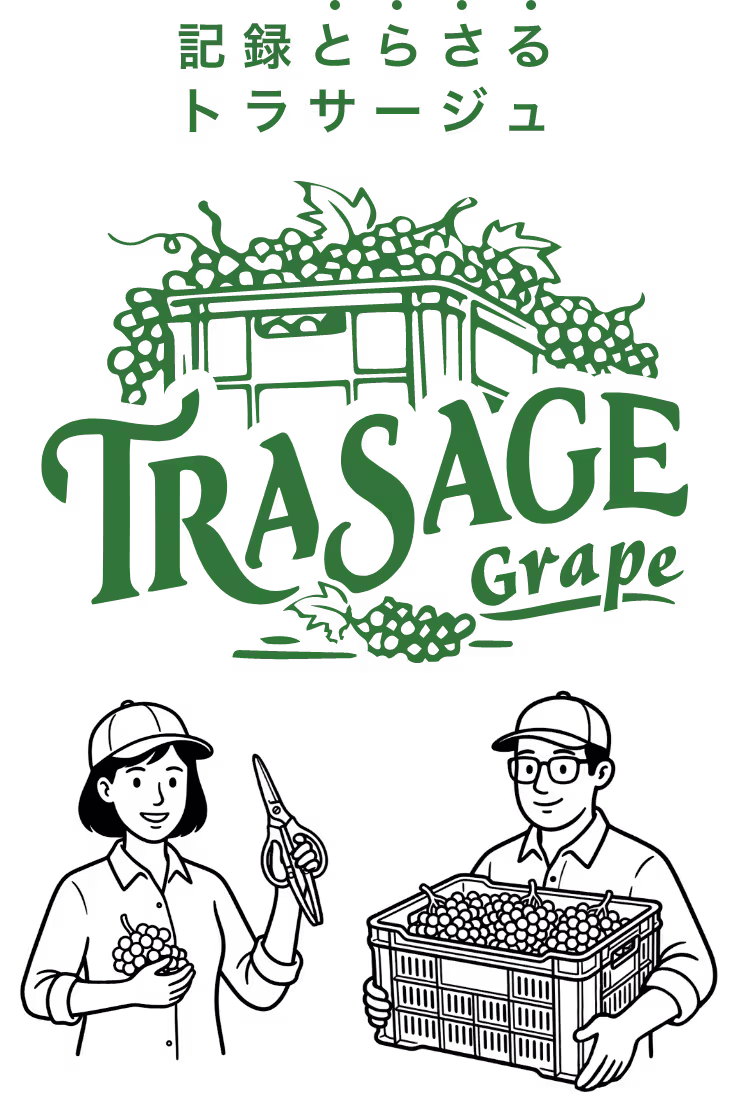 記録とらさるトラサージュTANK